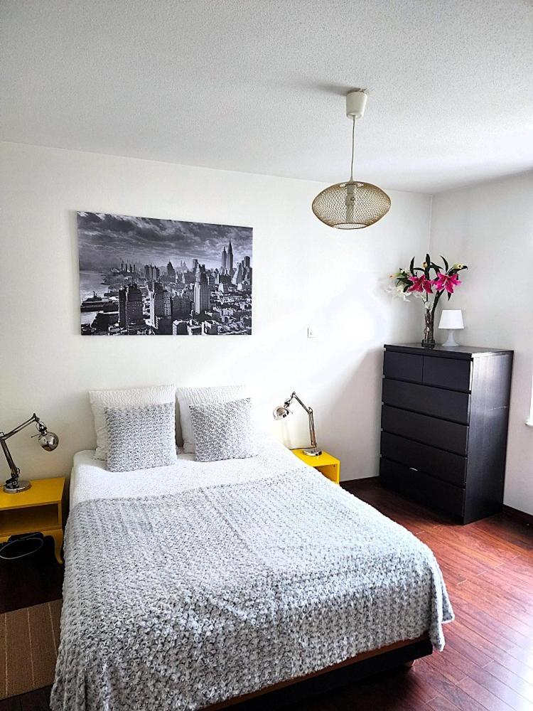 Appartement 3 Pieces, Krutenau, Parking Prive Strazburg Dış mekan fotoğraf