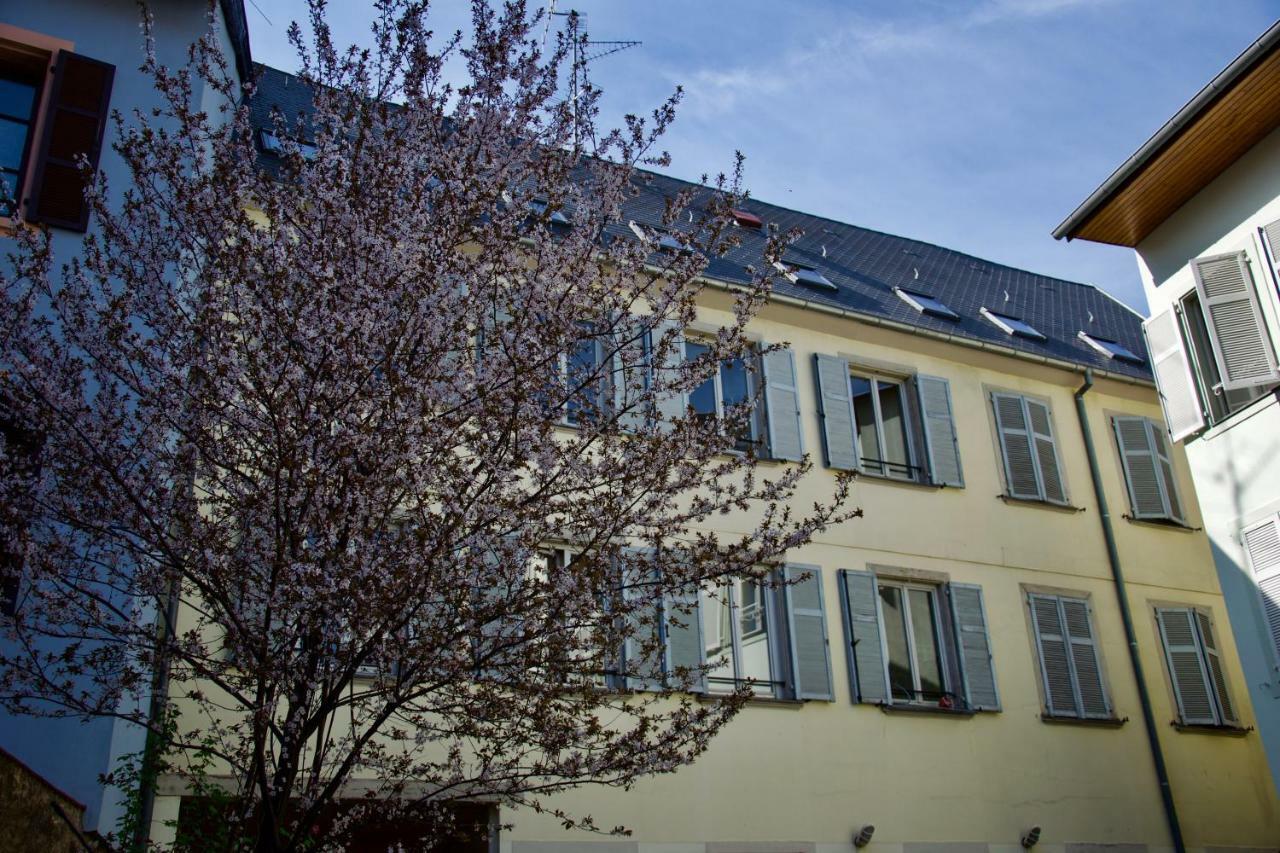 Appartement 3 Pieces, Krutenau, Parking Prive Strazburg Dış mekan fotoğraf