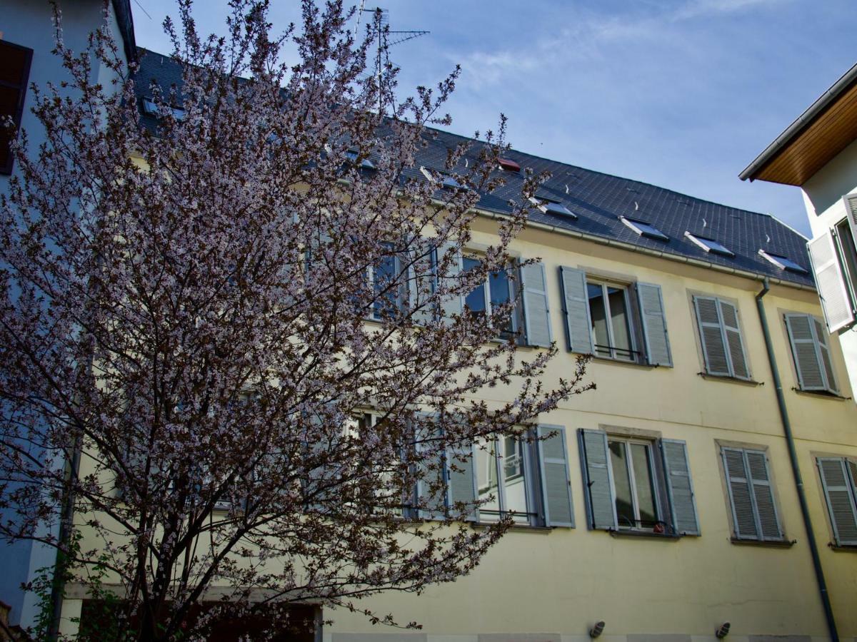 Appartement 3 Pieces, Krutenau, Parking Prive Strazburg Dış mekan fotoğraf